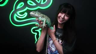 Razer RazerStore Hong Kong Relaunch | SF6 Showdown