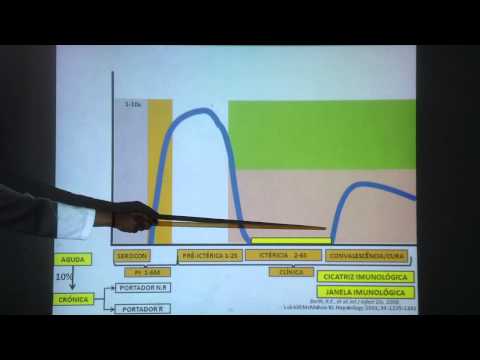 Hepatite B video