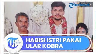 Diduga Incar Warisan Harta, Pria di India Tega Menghabisi Nyawa sang Istri dengan Ular Kobra