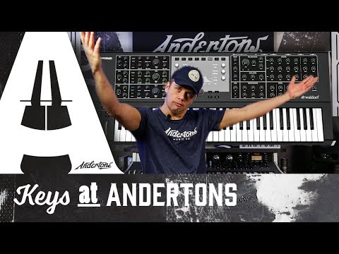 Waldorf Quantum - First Look!