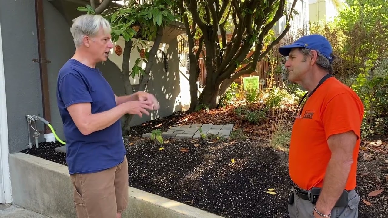 Oakland Homeowner Talks Plant Protection Regarding a Recent Drainage Job.