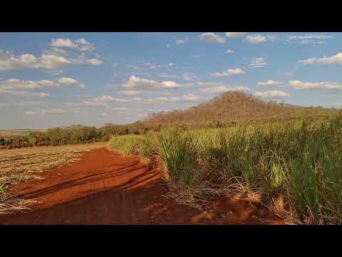 Morro da cidade,Morro agudo SP.