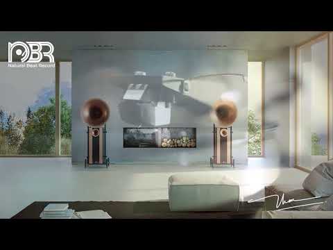 Hi-Res Audio 32 bit - Greatest Audiophile Music 2025 - NBR Music