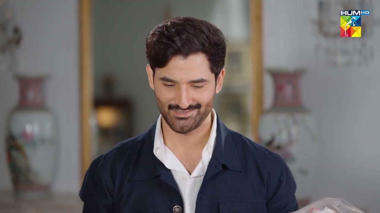 Shadi Karon Ga Tou Sirf Anaya Se...! Aye Dil Aazma Nahin - HUM TV