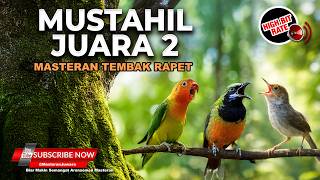 Download lagu 🔴 Masteran Mudah Ditiru Cucak Cungkok Gacor vs Prenjak Tir Panjang vs Lovebird Cililin Greja Kasar mp3