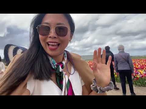 The Tulip Barn (Amsterdam, Netherlands)