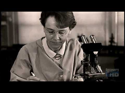 100 Greatest Discoveries