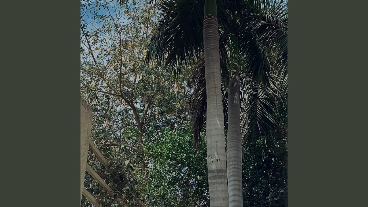 Building My Own Home