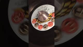 Sugar Pie De Santo - Slip-in Mules - Checker 1073