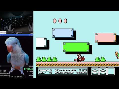 Super Mario Bros. 3 Any% Speedrun in 3:00.000 (World Record)