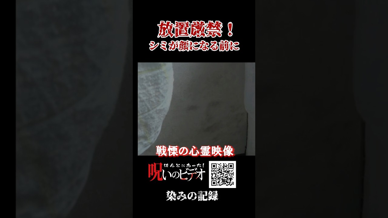 【心霊映像】放置厳禁！ シミが顔になる前に #ほん怖 #恐怖 #怪現象 #ホラー #怖い話 #scary #怖い #心霊スポット #foundfootage #scaryshorts