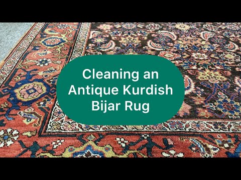 Cleaning an Antique Kurdish Bijar Rug (150 YEARS OLD!) #asmr #rugcleaning #kurdish