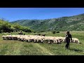 Lura, mrekullia që duhet shpëtuar - Fshatrat e Shqipërisë