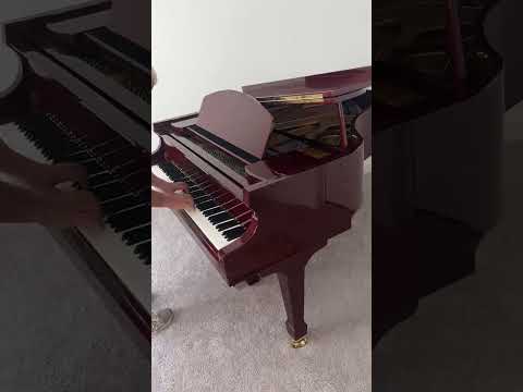 Elegant Acoustic Beauty: Falcone FG-62D Grand Piano image 8