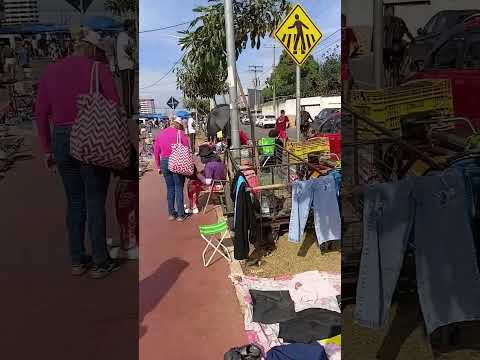 Feira do Rolo Cidade do Novo Gama Goiás