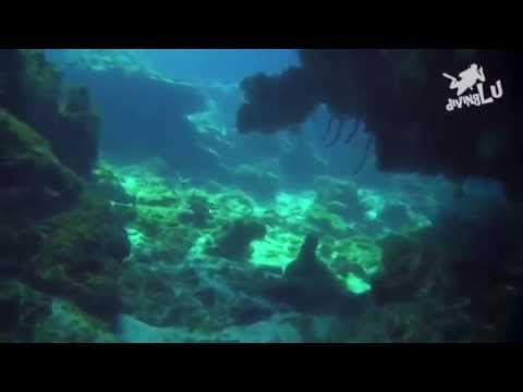 Tauche Kuba - Maria la Gorda