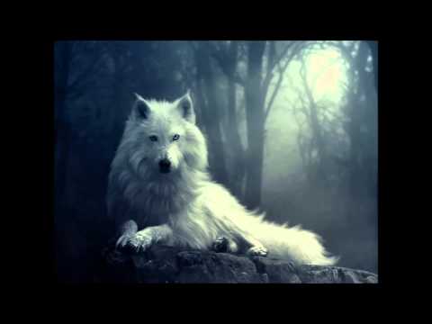 omoha’s Video 119382502100 yhFXcbSNn5s