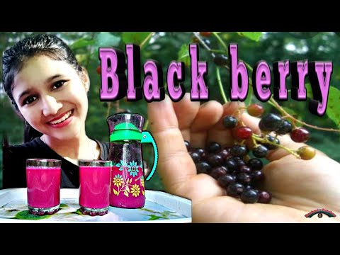 #Black berry juice.by Alankrita.