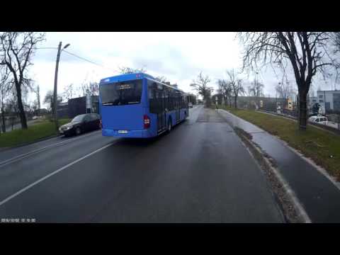 Elengedem a buszokat - I let the buses go