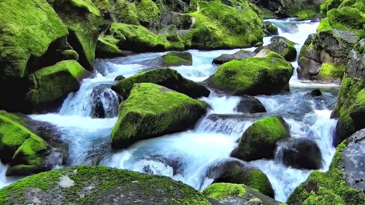 528Hz Miracle Frequency | Heal Your Heart & Remove Negative Energy Instantly| Deep Emotional Healing