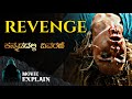 Revenge 2017 Thriller Movie Explained In Kannada Mystery Media