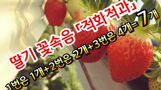 딸기야 잘 먹고 쑥쑥커라..잘 먹을수 있게 거하게 한상차려 드립니다.