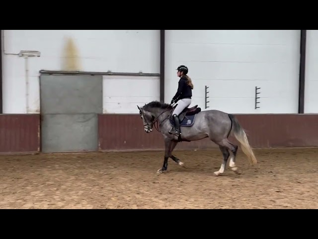 UNDER SADDLE VIDEO