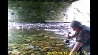 preview picture of video 'Pesca a mosca al Ponte del poligono - Chiusa di Pesio'