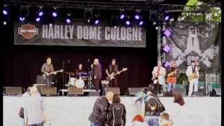 TheKingBlues -  Nosey Joe