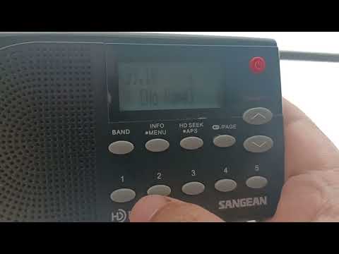 99.1 W256DP Summerville, GA