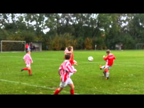 Nooitgedacht F1 - Rhode F1