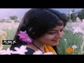 Adi Poonguyiley Poonguyiley Kelu Aranmanaikili HD Remastered Song Dolby Atmos DTS Audio Effect
