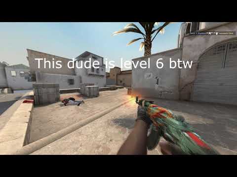 Level 8 FACEIT in a nutshell