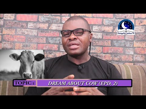 DREAM ABOUT COW (2) - Biblical Dream Meaning and Interpretations