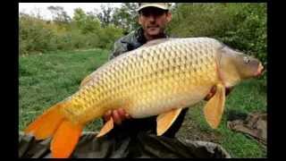 Best fishing moments in 2013 
