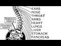1931 B.J. Palmer GREAT VALUE OF CHIROPRACTIC, PART 2: History & Philosophy WOC WHO Radio Broadcast