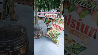 Download lagu Cara Menaikan pH Tanah Dengan Cepat #shorts #videoshort mp3 Download lagu Cara Menaikan pH Tanah Dengan Cepat #shorts #videoshort mp3