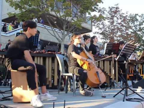 VIOLONCELLO MVI 9545