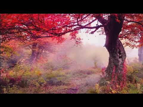 30 MIN Morning Relaxing Music For Positive Feelings and Energy Vol5 #RelaxMusic #MorningMusic