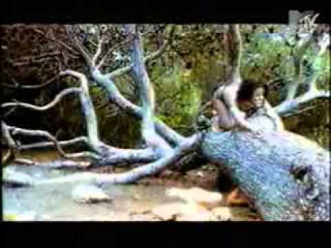 T-Spoon - Sex On The Beach (1997)