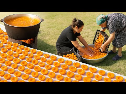 How Grandma Dries Apricots Under the Sun? 🍑 1 Hour Of The Best Recipes