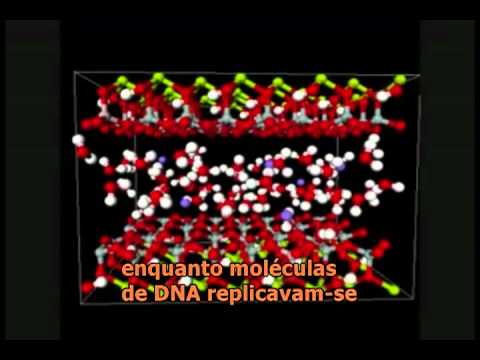 A real origem da Vida