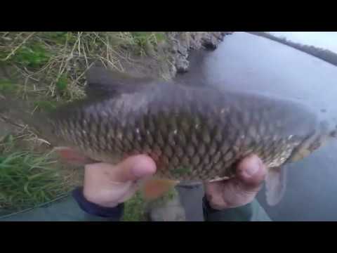 SAVA RIVER SPRING CHUB AND ASP FISHING 2019 episode 1