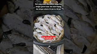 Download lagu Rahsia Membuat IKAN PEKASAM Rasa Enak yang Jarang Diketahui #tradisionalfood #shorts #1millionviews mp3