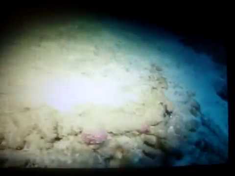 Cantor Gospel Poeta Mauro Leal - Álbum 3