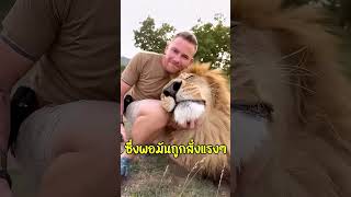 ทำไมเสือดาวน่ากลัวกว่าสัตว์อื่นๆ