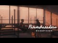 Paravashanadenu Paramathma Slowed Reverb Tunes Chills