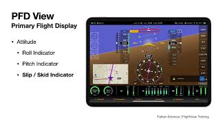 FlightView Overview and Pilot Guide
