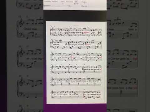 Guinea pig song - Merry Christmas from the Cavy Corner guinea pigs