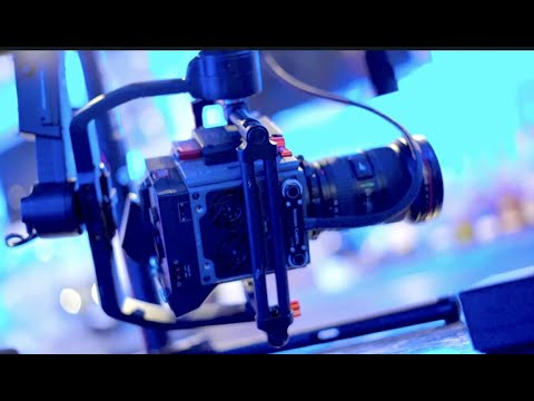 Official BTS of AssMazing - SPIKY X Honorebel X Third World Don